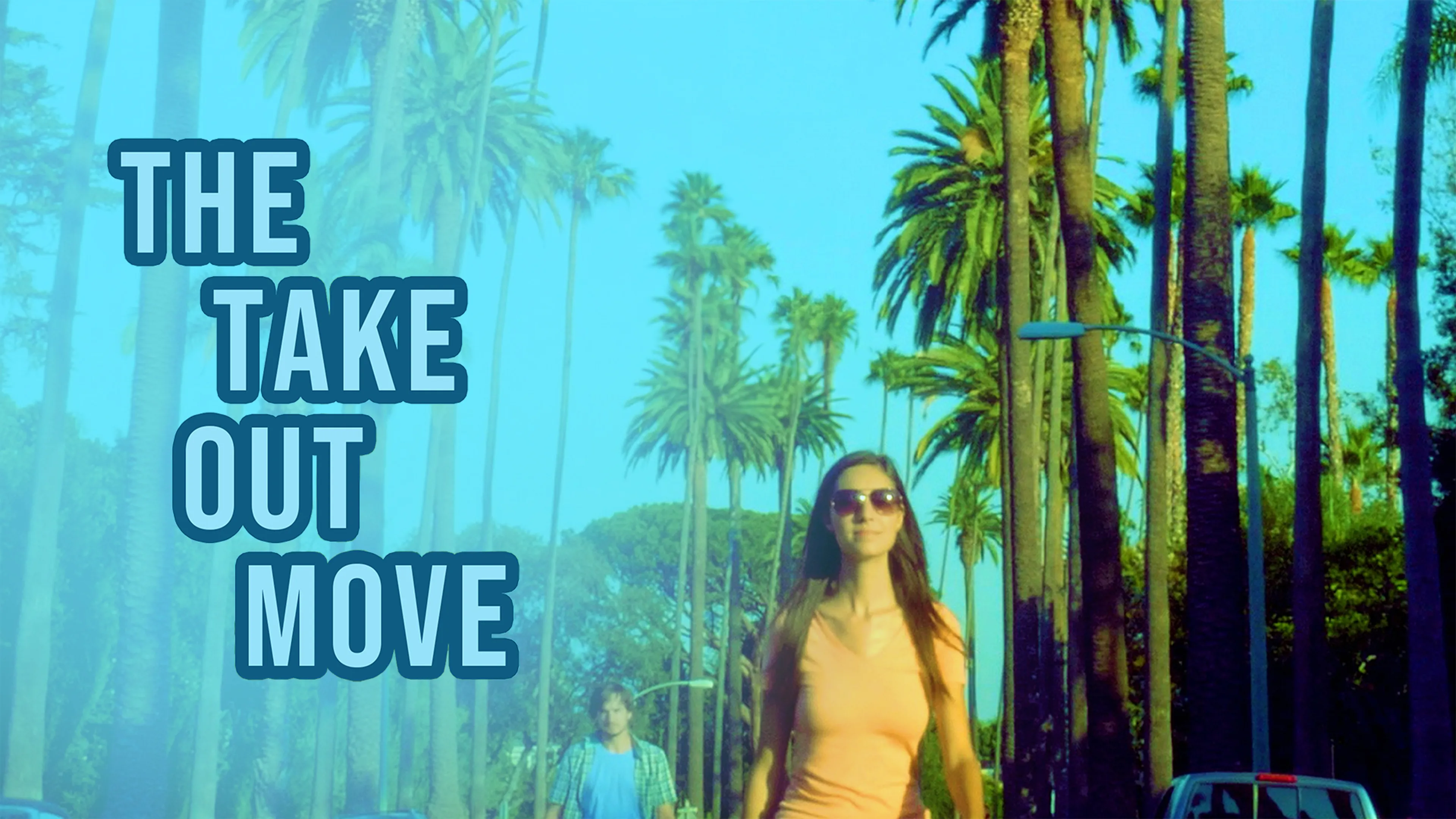 The Take Out Move poster